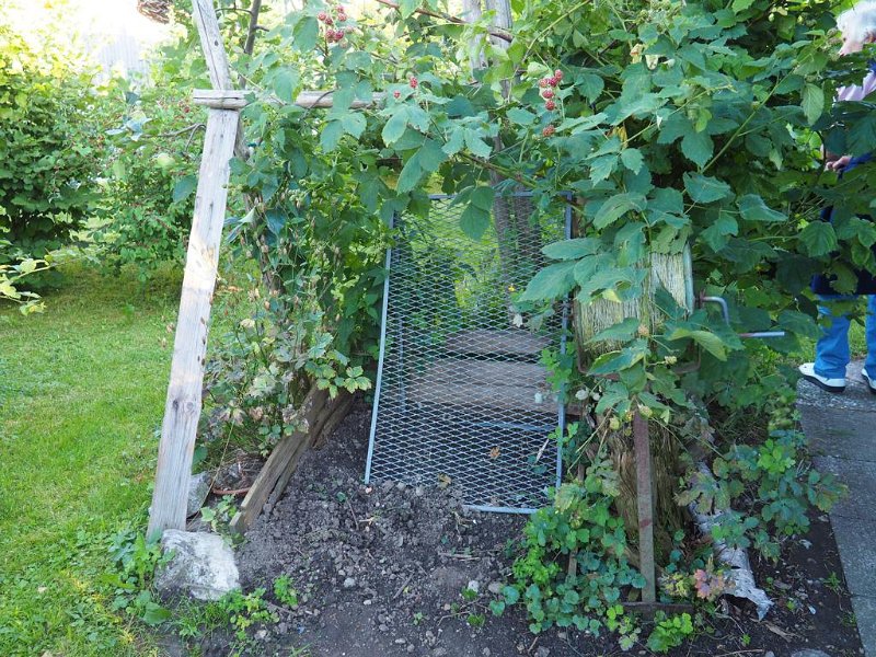 Garten von Fam. Seehuber (2)