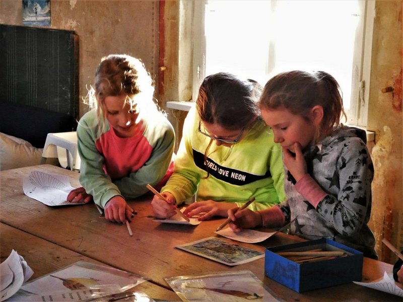 WB-2-2020-Vögel (11)