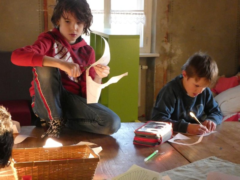 WB-2-2020-Vögel (12)