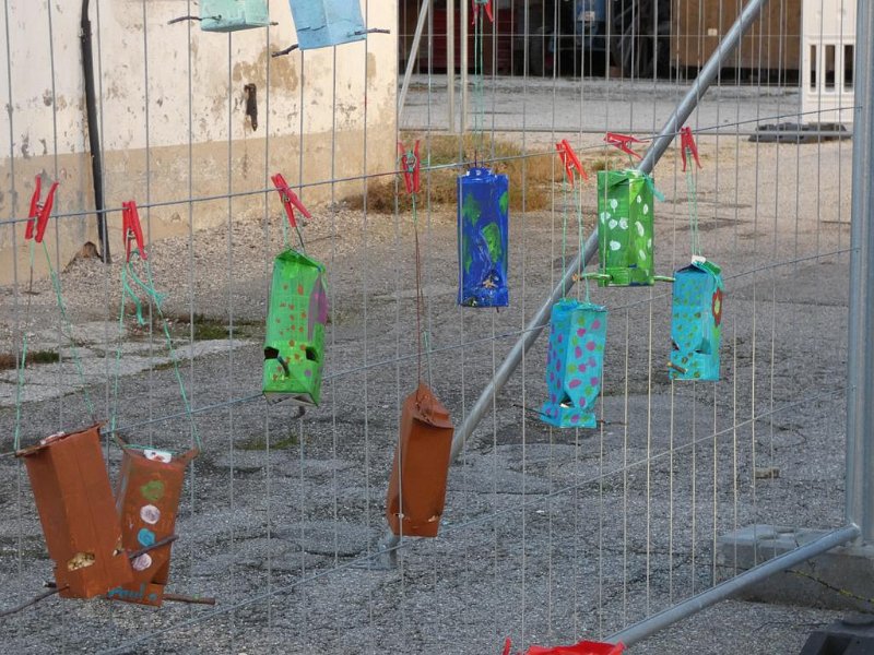 WB-2-2020-Vögel (14)