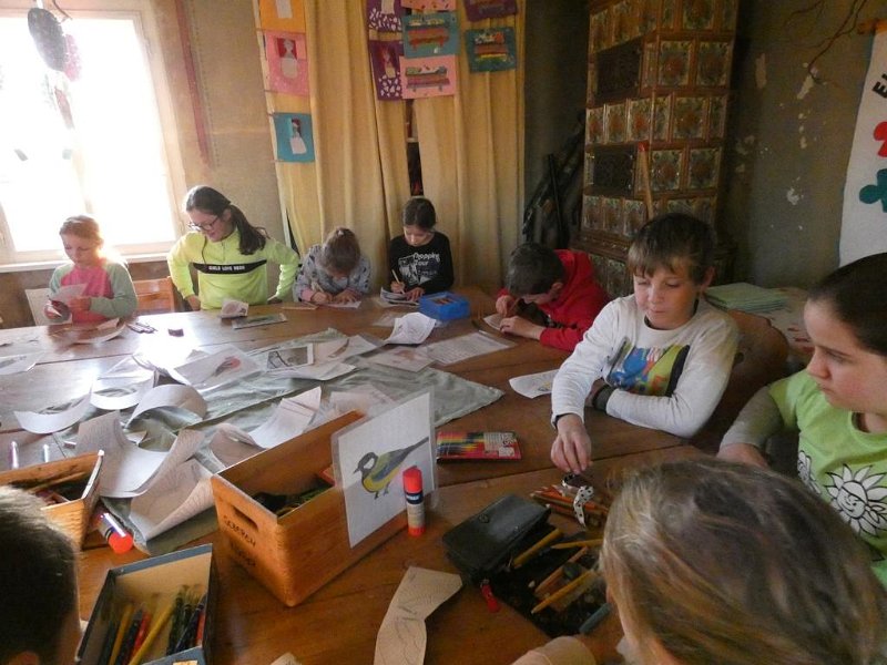 WB-2-2020-Vögel (15)