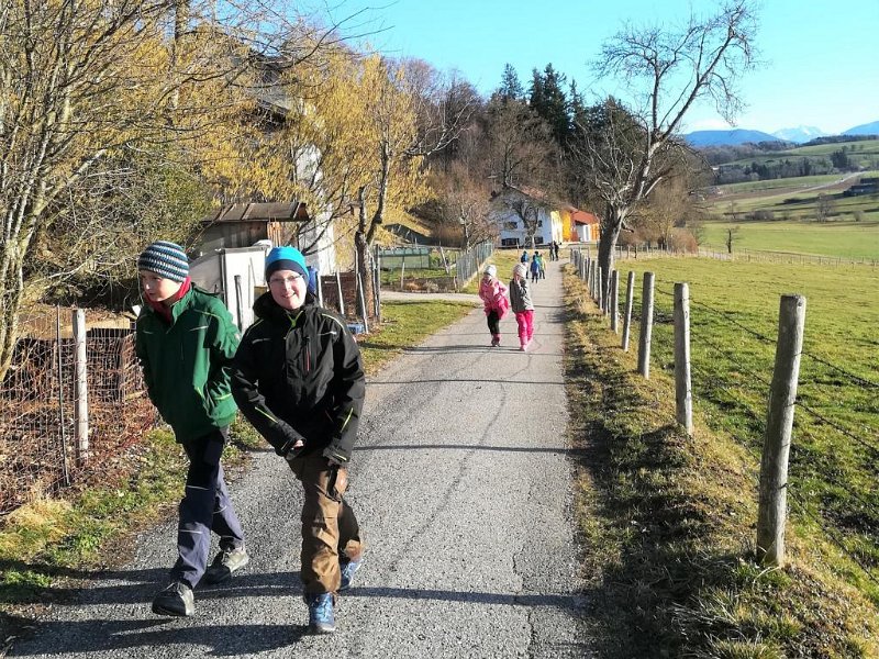 WB-2-2020-Vögel (8)