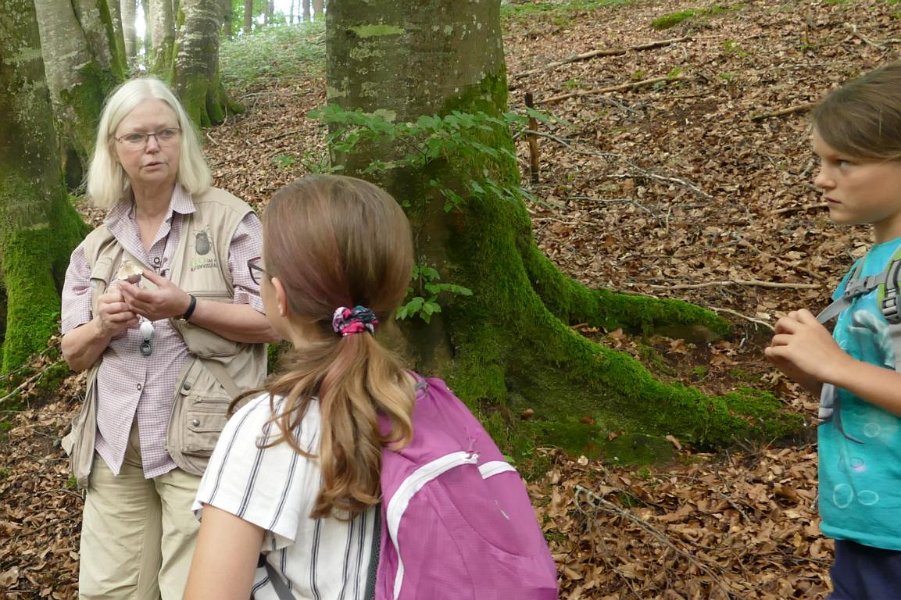 WB-7-2020-Biberschwell  (11)