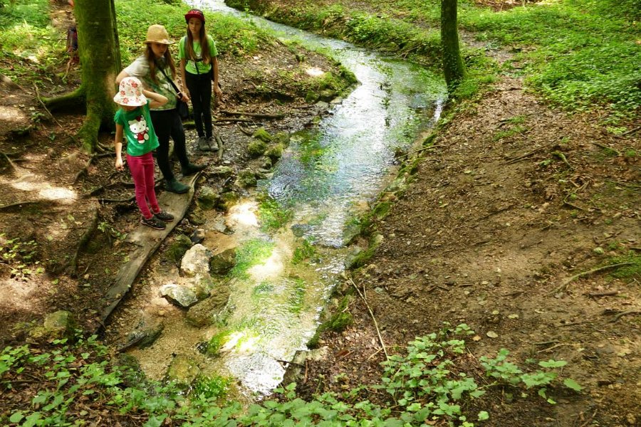 WB-7-2020-Biberschwell  (14)