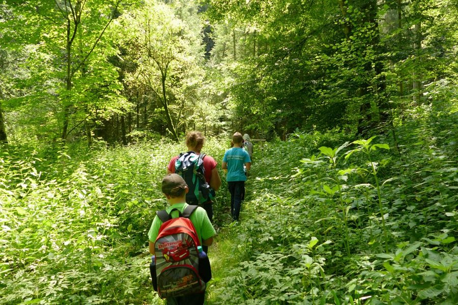 WB-7-2020-Biberschwell  (15)