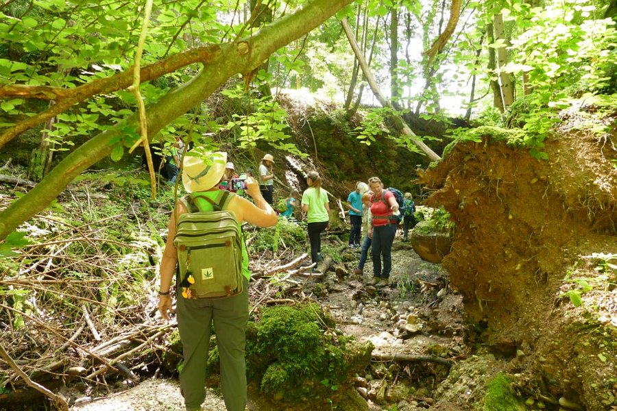 WB-7-2020-Biberschwell  (18)