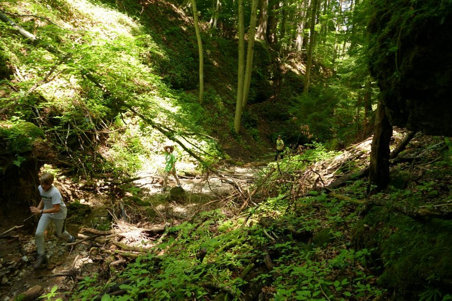 WB-7-2020-Biberschwell  (20)