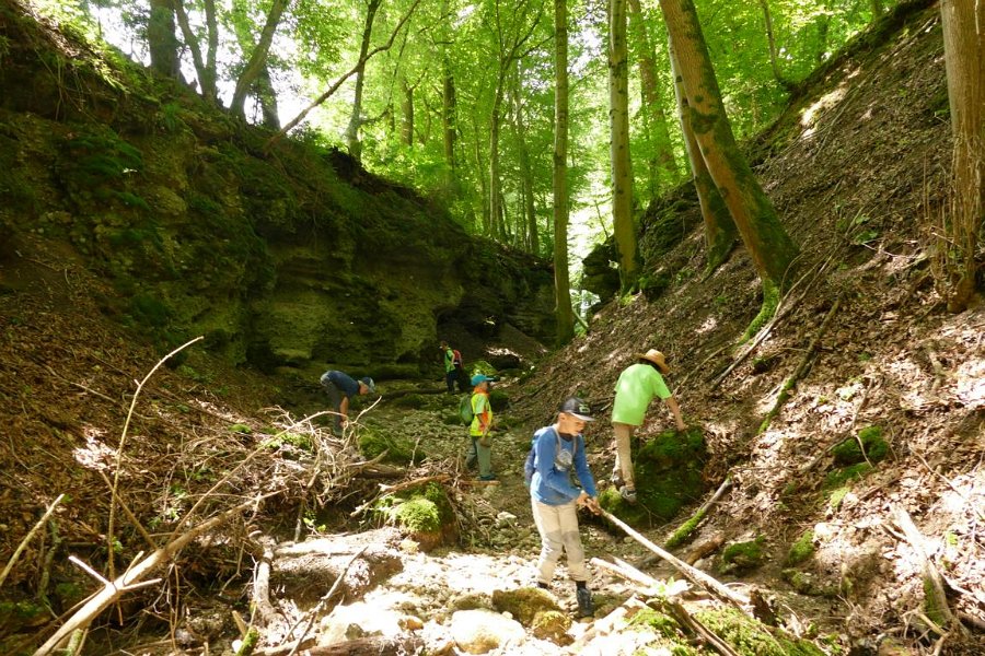 WB-7-2020-Biberschwell  (21)