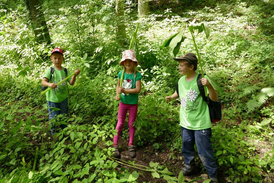 WB-7-2020-Biberschwell  (23)