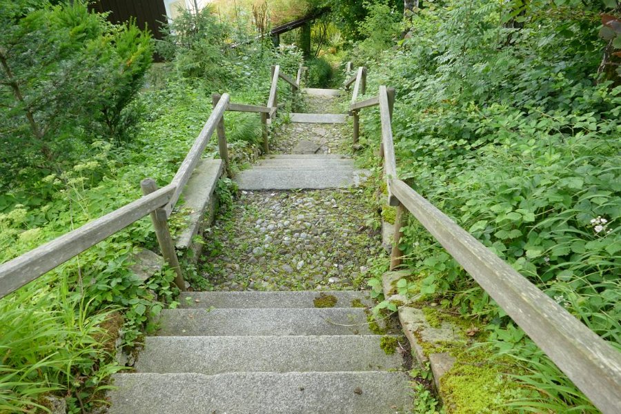 WB-7-2020-Biberschwell  (3)