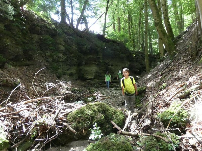 WB-7-2020-Biberschwell  (8)