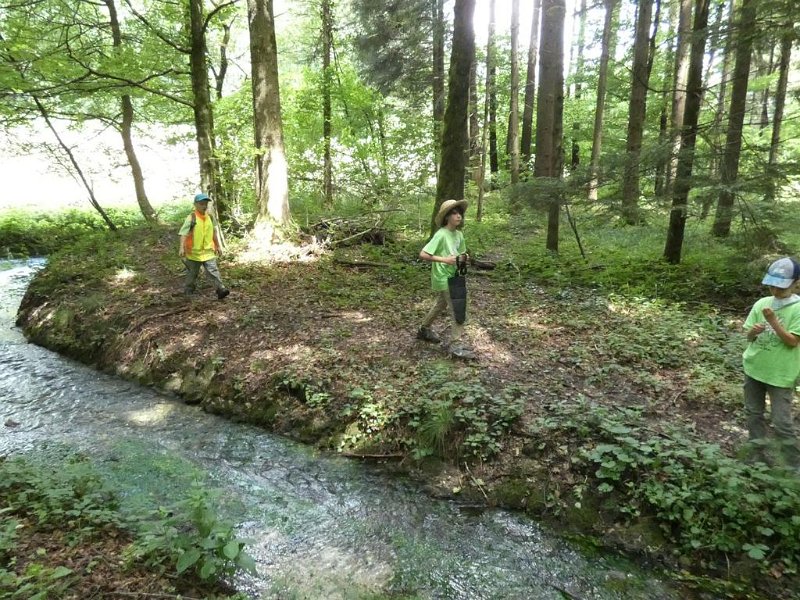 WB-7-2020-Biberschwell  (9)